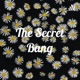 The Secret Bang