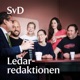 Sverigedemokraterna och skolan