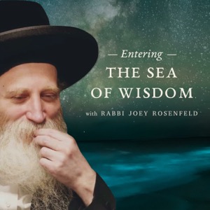 Entering the Sea of Wisdom with Rabbi Joey Rosenfeld