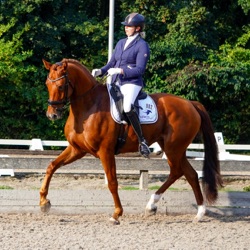 29. BWR DressuurproevenPodcast: de galop