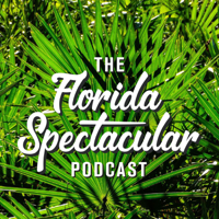 Episode 27: Jason Katz 'Islandia Journal'