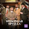 Spekingar Spjalla