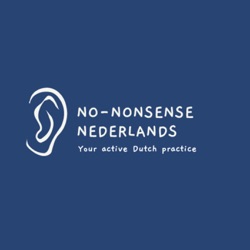 No-nonsense Nederlands - No-nonsense Dutch