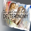 Truth Encounter: Deuteronomy artwork