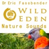Wild Eden Nature Sounds by Dr Eric Fassbender artwork