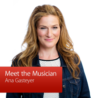 Ana Gasteyer: Meet the Musician podcast