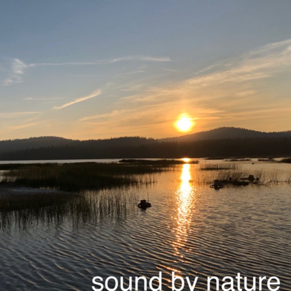 Sound By Nature Artwork