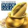 Pod of Gold: Notre Dame Football artwork