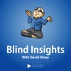 Blind Insights artwork