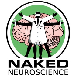 Naked Neuroscience, from the Naked Scientists