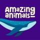 Amazing Animals