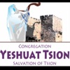 Yeshuat Tsion - Salvation of Zion artwork
