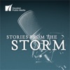 Stories from the Storm artwork