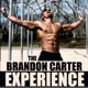 The Brandon Carter Experience