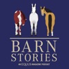 Equus Barn Stories artwork