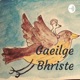 Gaeilge Bhriste