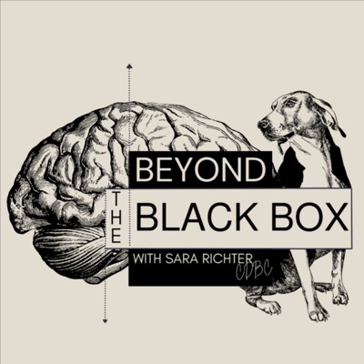 Beyond the Black Box:Sara Richter, CDBC