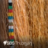 SBS Dinka artwork