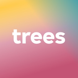 Trees onderzoekt Trees - Evaluatie