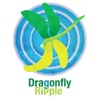 Dragonfly Ripple: Bringing Up the Next Generation of Nerds artwork