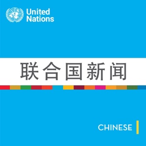 疫情期间残疾人需要得到更多关爱—— 访联合国残疾人权利委员会副主席罗斯玛丽·凯斯