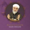 Riyâzü’s Sâlihîn Dersleri (Ses) | Nureddin Yıldız artwork