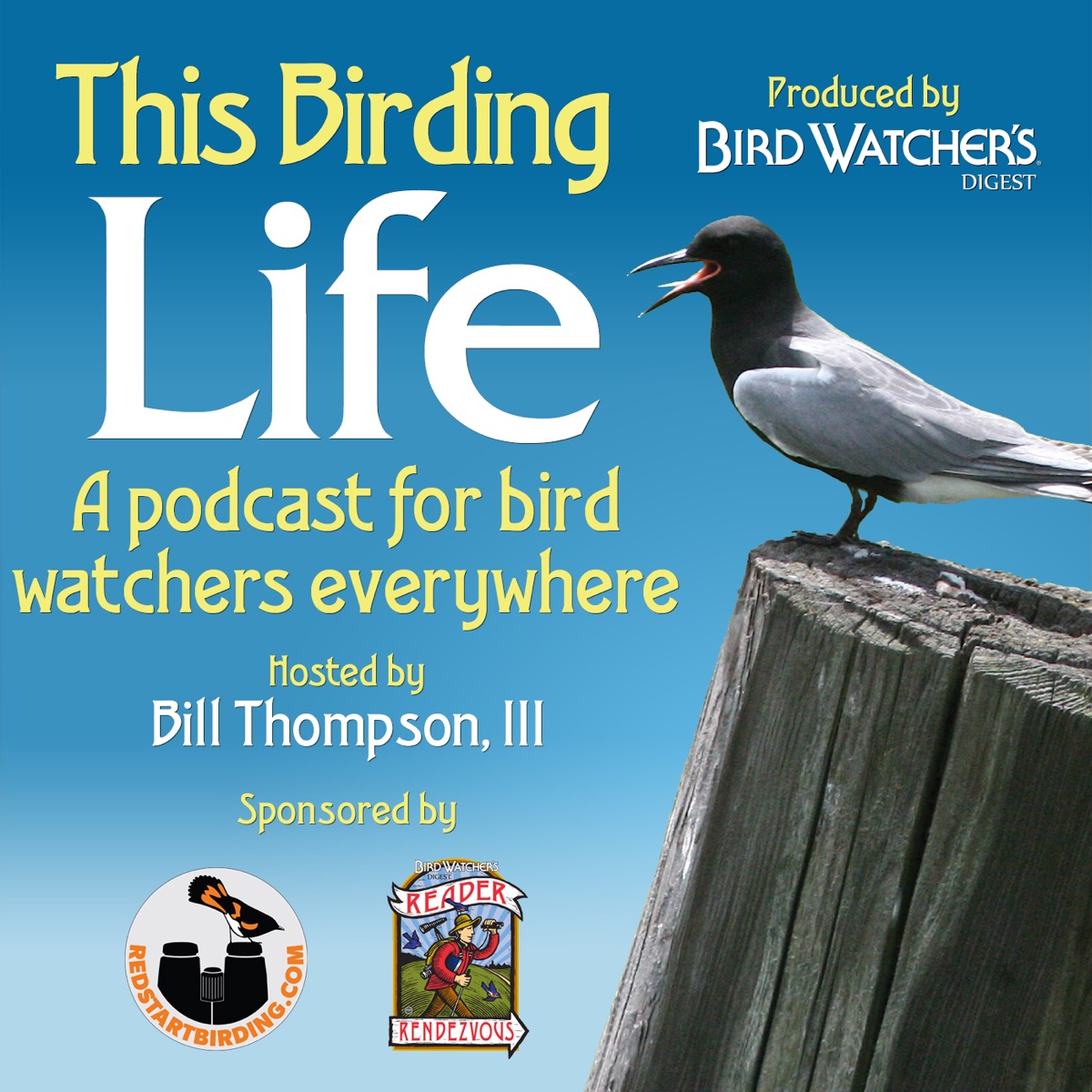This Birding Life (Enhanced) – Podcast – Podtail