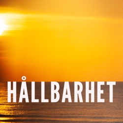 Hållbarhet