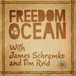 #75 Growing Your Business With The Right Support - Freedom Ocean Internet Marketing with James Schramko and Tim Reid | Internet Business | Online Marketing Podcast