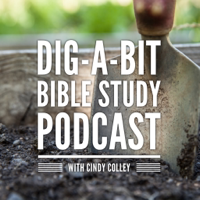 Dig-a-Bit Podcast podcast
