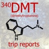 340 DMT Trip Reports artwork