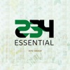 234 Essential artwork