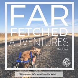 Charlie. The little paralyzed dog that went from death row to nomadic, adventure pro.