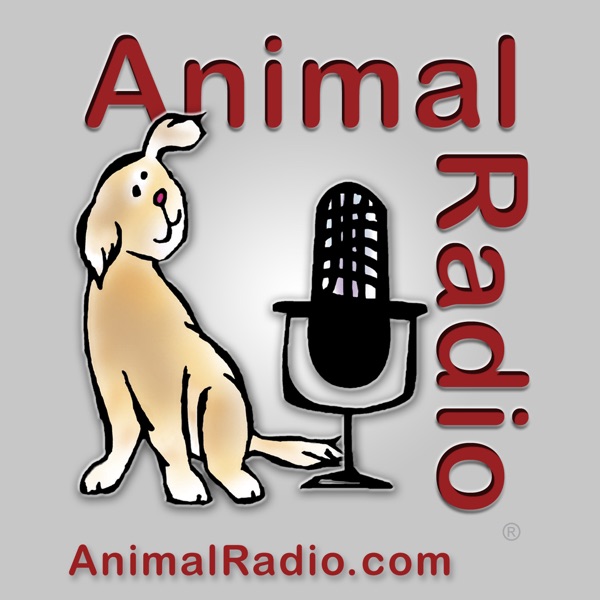 Animal Radio® Artwork