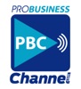 Pro Business Channel artwork