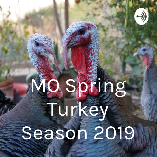 MO Spring Turkey Season 2019 Artwork