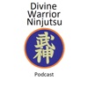 Divine Warrior Ninjutsu artwork