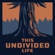 This Undivided Life