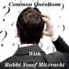 Common Questions with Rabbi Mitzrachi artwork