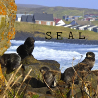 SEAL podcast