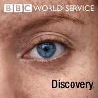 Discovery