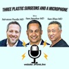 3 Plastic Surgeons and a Microphone artwork