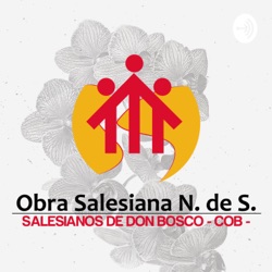 Salesianos N.S Colombia