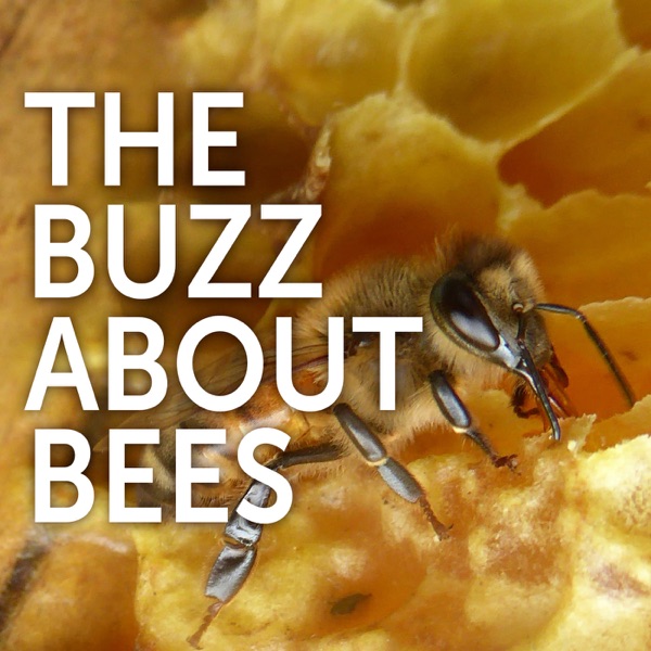 Artwork for The Buzz About Bees