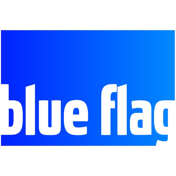 The Blue Flag Podcast from Realish Racing