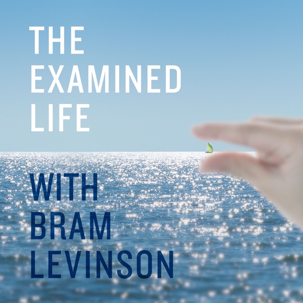 The Examined Life with Bram Levinson