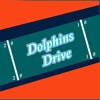 Dolphins Drive artwork