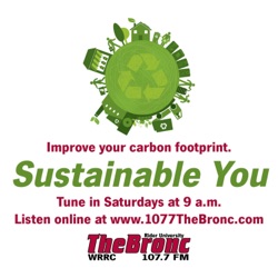 Sustainable You-California Wildfires, Reducing Carbon Dioxide, Great Pacific Garbage Patch, Sustainable Diet