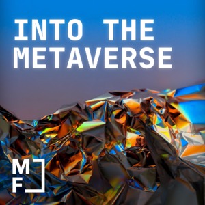 INTO THE METAVERSE