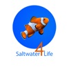 Saltwater for Life artwork